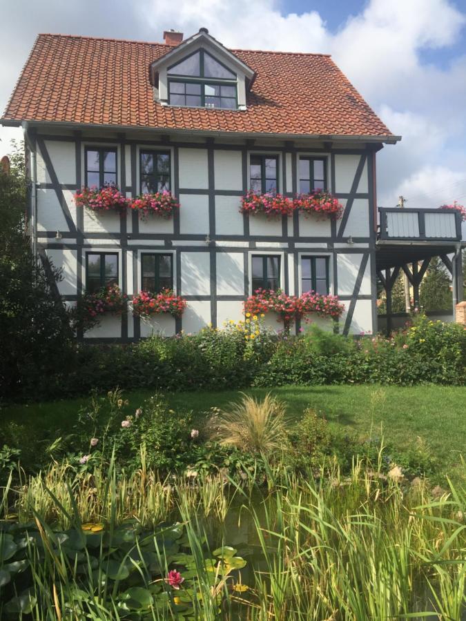 Schoene Gemuetliche Mit Kamin I Im Harz Apartment *